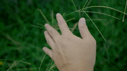 Connection to Nature: Highlighting the human touch with natural elements, symbolizing harmony and mindfulness in the environment.
