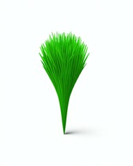 green grass isolated on white