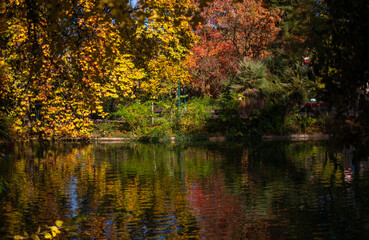 A Lake in a park with autumn vibes in Bordeaux, France 