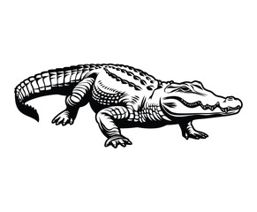 Obraz premium Muscular Crocodile Silhouette with Raised Limbs Vector Template