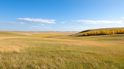 Vast golden plains under clear blue skies nature landscape photography tranquil environment