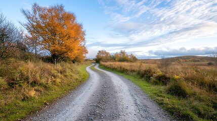 Fototapeta premium Winding path through autumn landscape scenic route nature photography outdoor serenity peaceful view