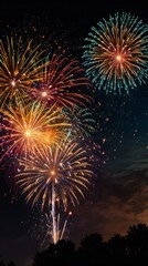 Obraz premium fireworks in the night sky