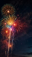 Fototapeta premium fireworks in the night sky