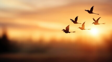 Obraz premium Ethereal scene of birds in flight against a smoky misty sunset evoking a spooky halloween atmosphere with witches in the background