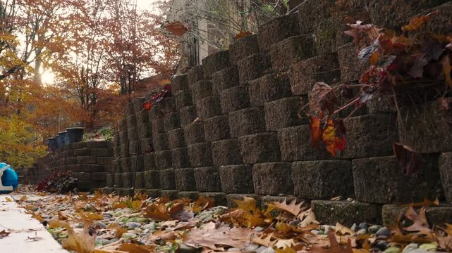 Leaves falling softly into frame.