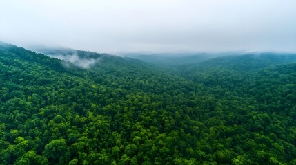 Fototapeta premium Misty Green Mountain Forest Aerial