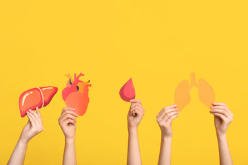 Female hands with paper human organs on yellow background