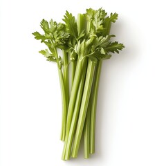 Fototapeta premium A Bunch Of Fresh Green Celery Stalks