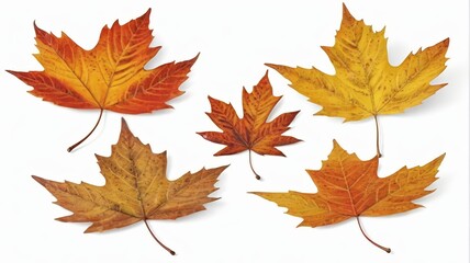 Obraz premium four different colored leaves are arranged on a white surface