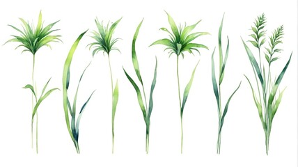 Fototapeta premium a close up of a bunch of green plants on a white background