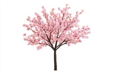 Cherry Blossom Tree in Full Bloom for Spring Theme