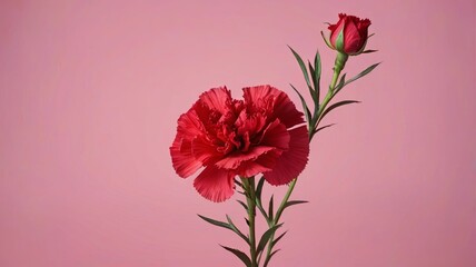 Obraz premium there is a red flower that is in a vase on a table