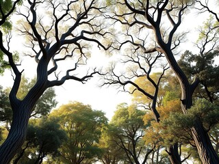 Fototapeta premium A group of branches from different trees forming a natural arch, branches, tree