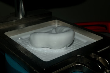 The White Guardian: Safety in Every Move