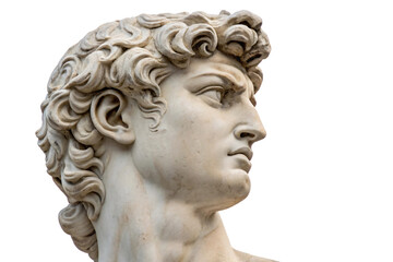 Obraz premium A marble bust with intense expression and chiseled features, its swirling curls exuding lifelike texture, symbolizing youth and defiance in classical art, isolated on a transparent background