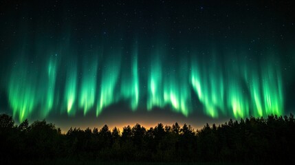 A stunning display of the Northern Lights illuminating the night sky over a forested landscape.