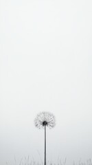 Fototapeta premium Solitary Dandelion: A minimalist black and white photograph of a single dandelion seed head against a muted sky. Evokes feelings of serenity, simplicity, and the fleeting nature of time. 