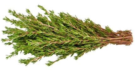 Fresh thyme bunch isolated on transparent or white background. Generative ai