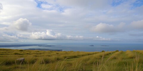 Obraz premium A serene bed in grassy field with dramatic coastal landscape backdrop under cloudy sky, solitude, bed