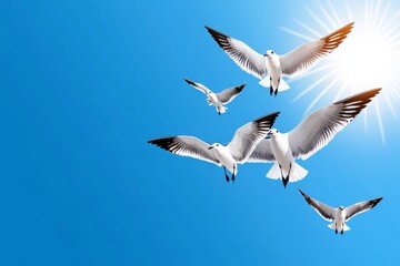 Obraz premium A flock of birds flying in formation across a serene blue sky, with sunlight softly illuminating their wings
