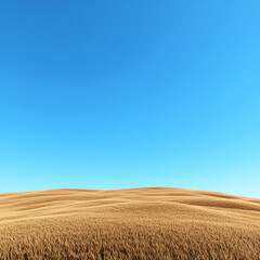 Golden fields under a clear blue sky.