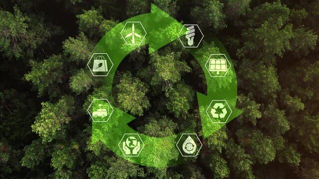 Ecology icons with green forest background, Reuse and renewable natural resources. Energy consumption and reduction of CO2 emissions. Sustainable development, care for the environment. 4k footage.