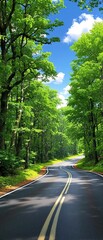 Obraz premium A narrow winding road runs through a lush green forest with towering trees above, greenery, natural pathways