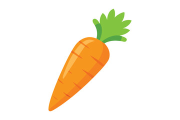 carrot vector illustration on white background