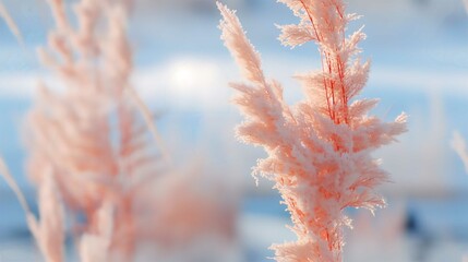 Frosty Winter Scene with Snow Covered Trees and Icy Branches in a Blue Sky