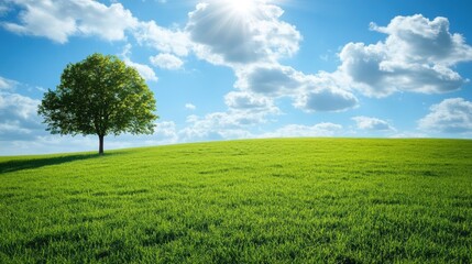 Obraz premium Vibrant green field with a solitary tree under a bright sky dotted with fluffy clouds showcasing serene and peaceful natural beauty.