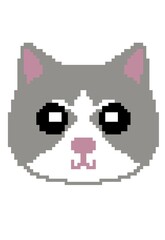 Obraz premium cat head pixel art