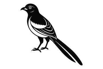 Obraz premium magpie bird silhouette vector illustration