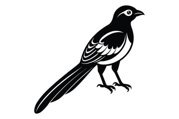 Fototapeta premium magpie bird silhouette vector illustration