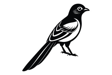 Obraz premium magpie bird silhouette vector illustration