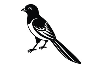 Fototapeta premium magpie vector illustration with white background