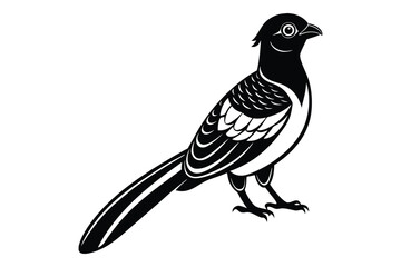 Obraz premium magpie vector illustration with white background