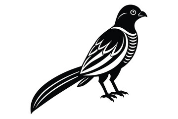 Fototapeta premium magpie vector illustration with white background