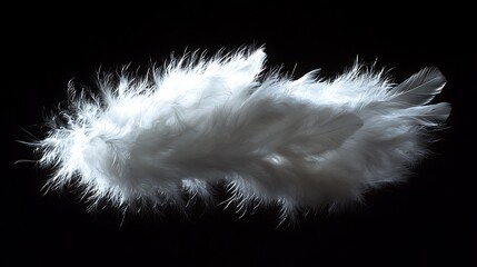 Obraz premium White Feather Photography Bold Contrast Artistic Textured Beauty Dark Background Scene
