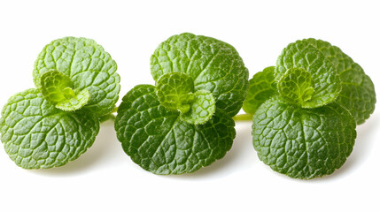 Fototapeta premium Close-up View of Three Lush Green Mint Leaves Isolated on White Background