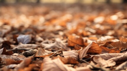 Autumn landscape with fallen dry leaves on the ground captured in perspective showcasing natural textures and colors.