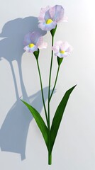 Fototapeta premium Three pale pink flowers with yellow centers on a single stem against a white background, casting a shadow.