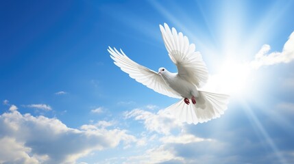 Fototapeta premium Dove gracefully flying against a vivid blue sky with radiant sunlight and fluffy clouds in the background conveying peace and freedom