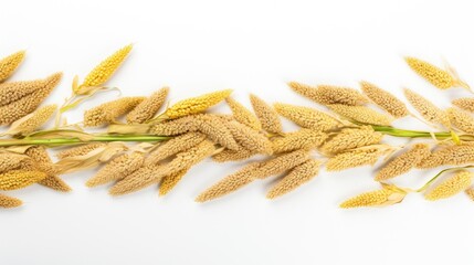 Millet decorative border arrangement on white background aerial view detailed closeup shot