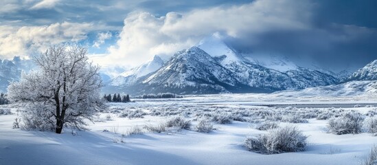 Fototapeta premium Winter landscape showcasing majestic mountains and frosty trees under a dramatic sky with snow-covered fields in a panoramic view.
