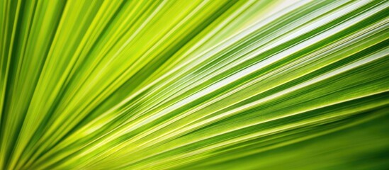 Obraz premium Close up of vibrant green tropical leaves with selective focus highlighting intricate textures and patterns in a soft background.