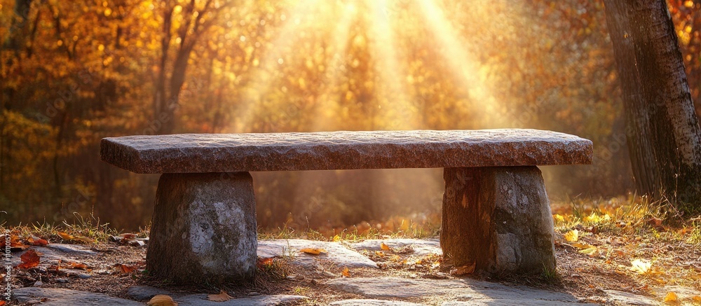 Poster stone bench in autumn woods illuminated by sunflare through trees creating a peaceful natural atmosp