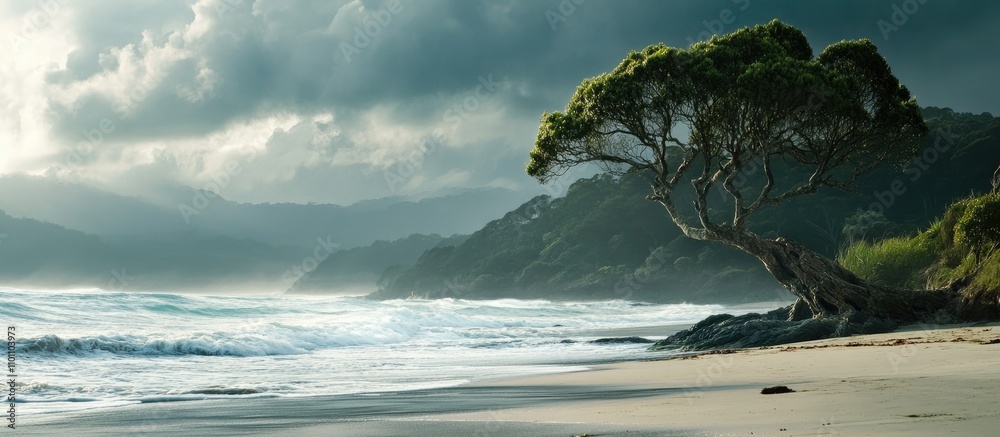 Poster serene coastal landscape with dramatic clouds and lone tree near the shoreline under soft natural li