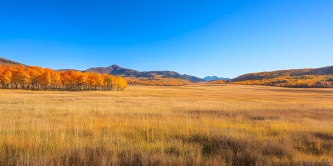 Fototapeta premium Stunning landscape featuring an autumn meadow under a clear blue sky, showcasing the vibrant colors and natural beauty of the season in this picturesque landscape.