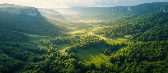 Obraz premium Aerial view of lush beech forest with karst mountains in a serene valley showcasing natural beauty and geographical features of the region